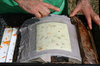 Making paper 3