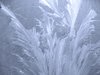 ice patterns