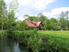 cottage in spring