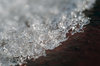 Between snow and ice 3