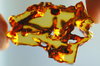 Thin slice of natural baltic a