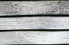 Side view of books - texture 1