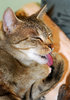 Most important for predators -