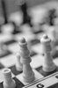 White chess army 5