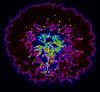 Spherical fractal