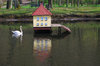 Swan and his house 3