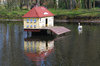 Swan and his house 1