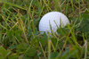 Golf ball