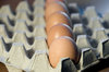 Eggs 4
