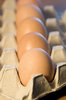Eggs 2