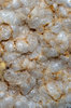 Rice waffer 2