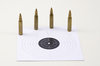 Target and ammo 1