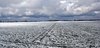 Rural winter panorame 3