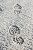 Footsteps in the snow 2