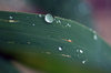Pure water in the nature 2
