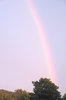 Rainbow 3
