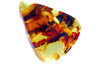Mass of natural amber from Bal