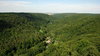 Forrest landscape of Harz Moun