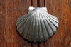 Shell - symbol of  Way of St. 