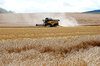 Combine harvester by the work 