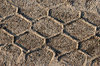 Print of car's tire - texture