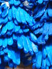 Gloves texture 1