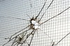 A cracked security window 1