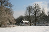 Winter cottage