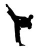 Karate 3