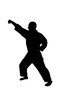 Karate 5