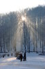 Winter walk in sundown rays