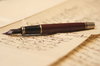 Vintage fountain pen 4