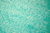 Garlic - microscopic view leaf