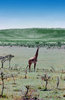 Wild life in african landscape