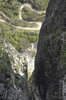 snake road