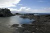 Hawaiian Coast