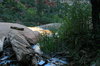 Zion National Park