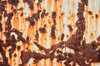 texture