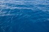 The Sea, Up Close and Personal