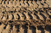 Making Tracks 4