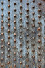 Metal plate