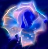 Abstract Rose 2