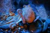 Underwater 5
