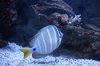 Underwater 7