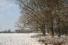 Snowy park