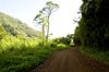 The wrong road, but pretty.