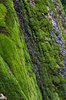 various textures