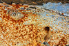 Airport Debris 2
