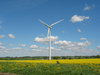 wind mills and yellow field 2