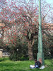 Study in the park